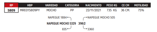 Lote LOTE 69