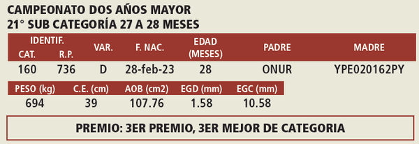 Lote LOTE 6