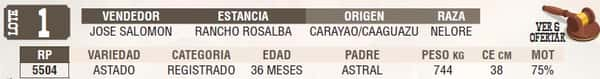 Lote LOTE 1 - EN VIVO