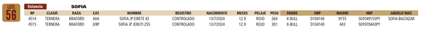 Lote LOTE 56