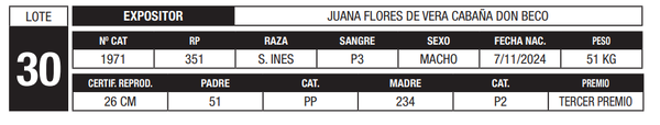 Lote LOTE 30