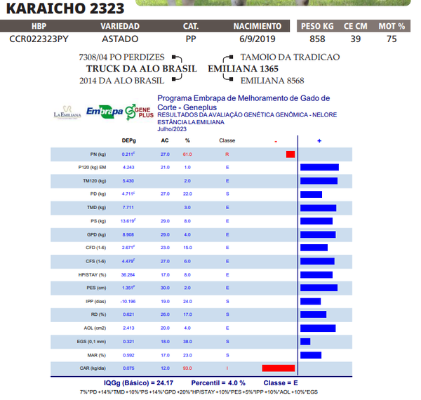 Lote LOTE 40