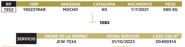 Lote LOTE 52