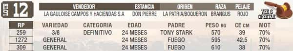 Lote LOTE 12 - EN VIVO