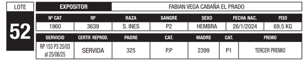 Lote LOTE 52