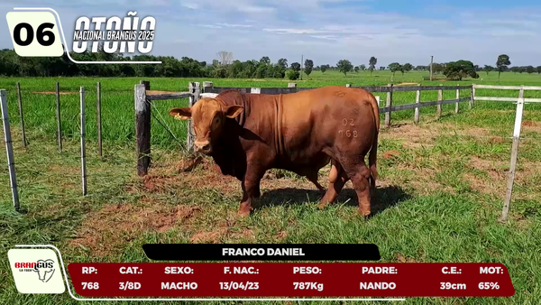Lote LOTE 6