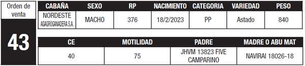 Lote LOTE 43