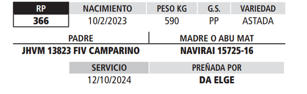 Lote LOTE 10