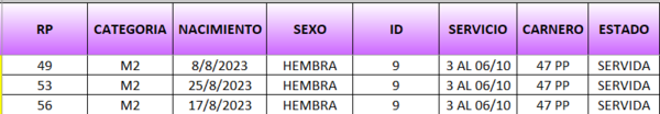 Lote LOTE 9