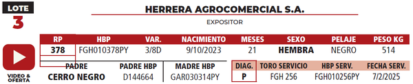 Lote LOTE 3