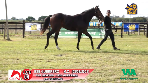 Lote ESE GUERRERO