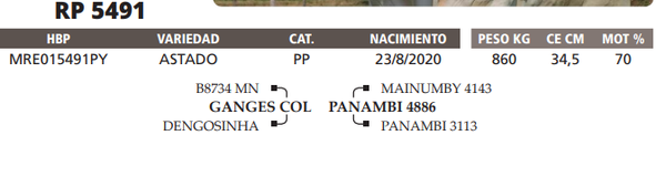 Lote LOTE 66