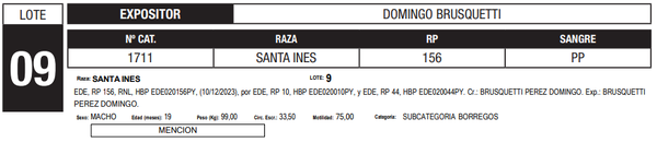Lote LOTE 9