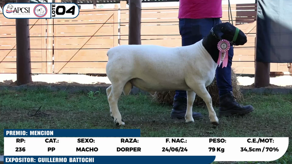 Lote LOTE 4