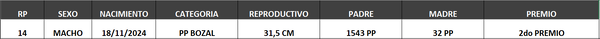 Lote LOTE 13- BOZAL