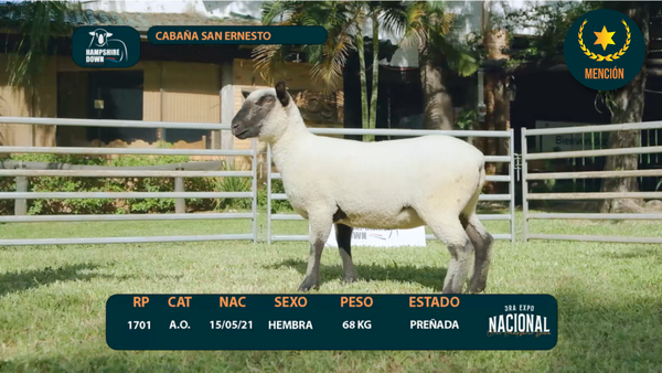 Lote LOTE 1 - CABAÑA SAN ERNESTO  RP 1701