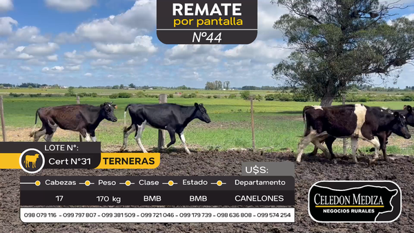 Lote 17 Terneras en Santa Lucía del Este, Canelones