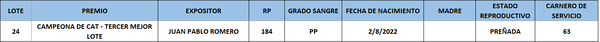 Lote LOTE 24