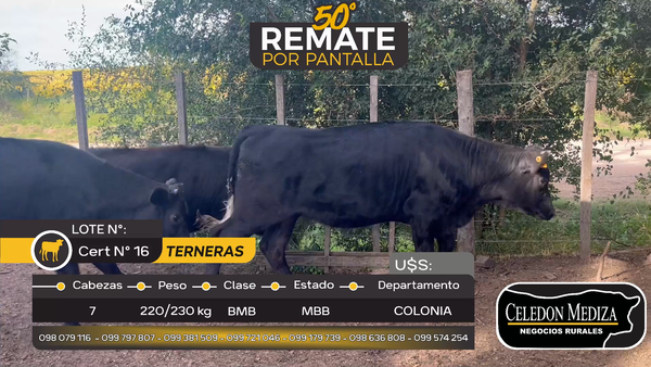Lote 7 Terneras en Tarariras, Colonia