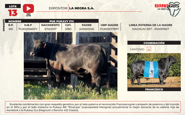 Lote LOTE 13