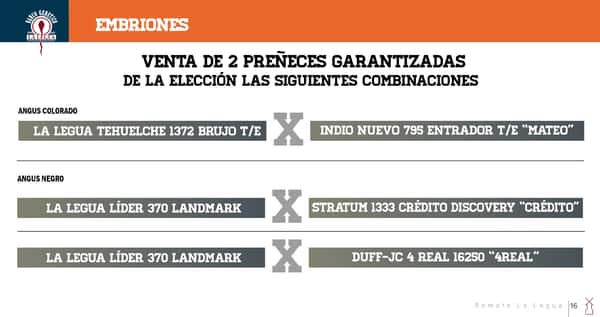 Lote EMBRIONES