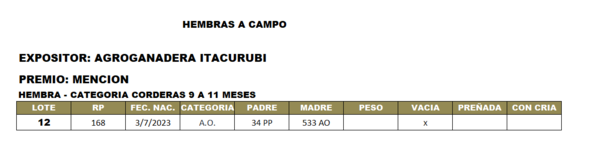 Lote LOTE 12- CAMPO