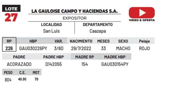 Lote LOTE 27