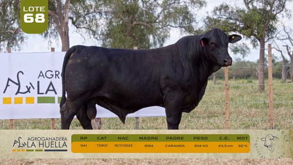 Lote LOTE 68