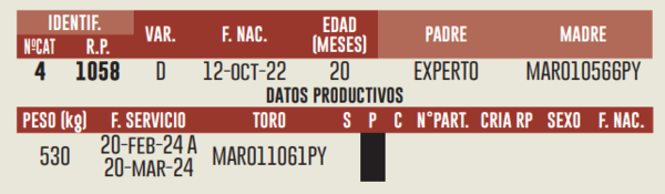 Lote LOTE 6