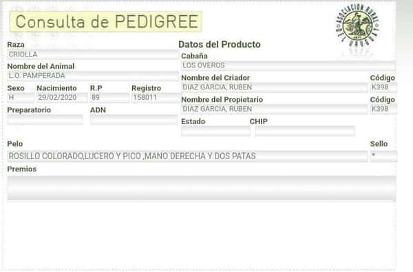 Lote L.O. PAMPERADA - RP 89