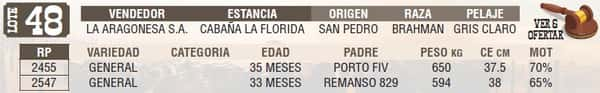 Lote LOTE 48