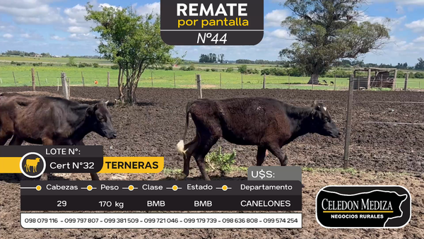 Lote 29 Terneras en Santa Lucía del Este, Canelones