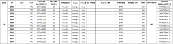 Lote LOTE 14