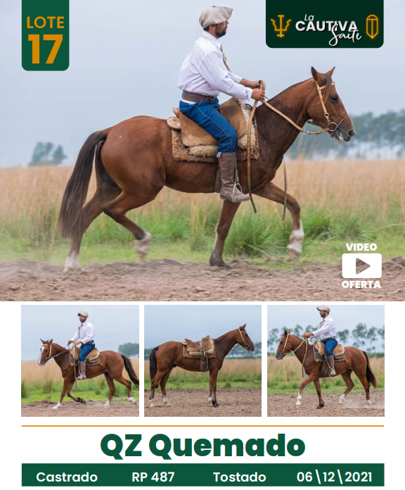 Lote LOTE 17