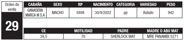 Lote LOTE 29