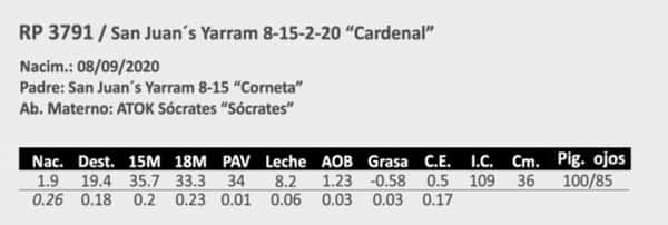 Lote Cardenal