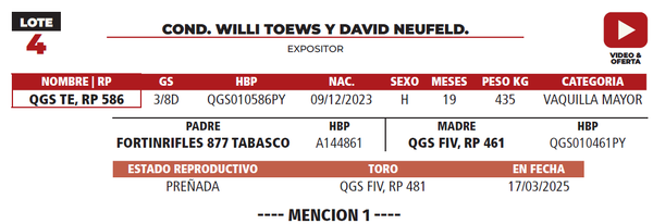 Lote LOTE 4