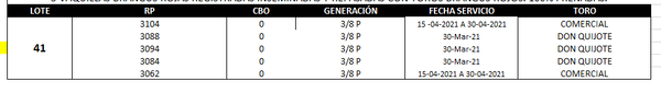 Lote Reproductores de Alborada - Lote 41