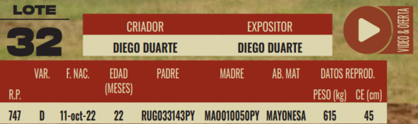 Lote LOTE 32 - MACHOS DE CAMPO