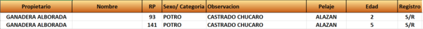 Lote LOTE 39