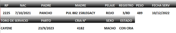 Lote LOTE 3