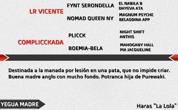 Lote LL MUY BONITA
