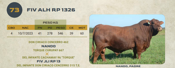 Lote LOTE 73