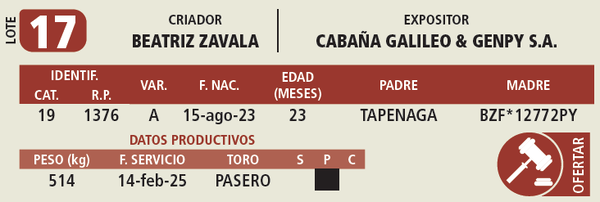 Lote LOTE 17
