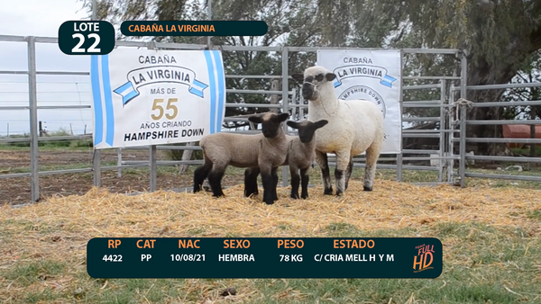 Lote LOTE 22 - CABAÑA ARGENTINA