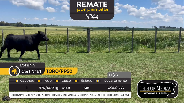 Lote Toro RP50 en Otra Localidad, Colonia