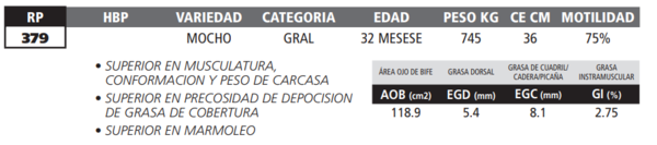 Lote LOTE 9