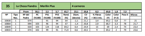 Lote 4 carneros