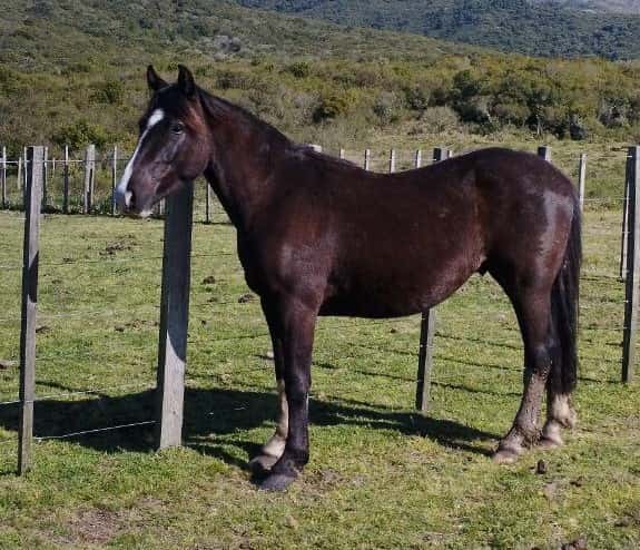 Lote DEL MIRADOR FEDERAL