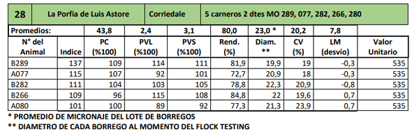 Lote 5 carneros 2 dtes MO 289, 077, 282, 266, 280